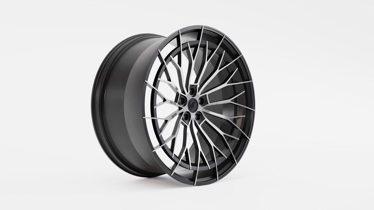 Ковані диски WS Forged WS-35M
