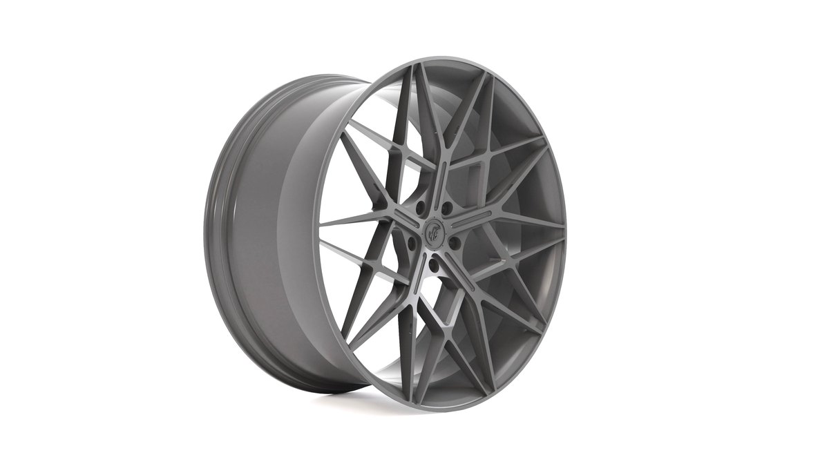Ковані диски WS Forged WS-10M
